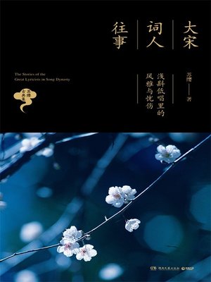 cover image of 大宋词人往事
